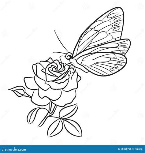 Butterfly On Blooming Rose Small Bud And Leaf Stock Vector