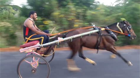 Horse Cart Race Kollapuram Part 4 Youtube