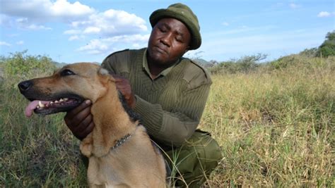 Big Life Foundation The Poacher Who Turned