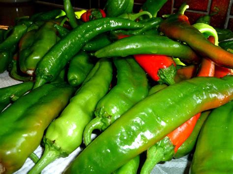 Hatch Mild Cleaned Buy Roasted Green Chilis The Chili Guys Store