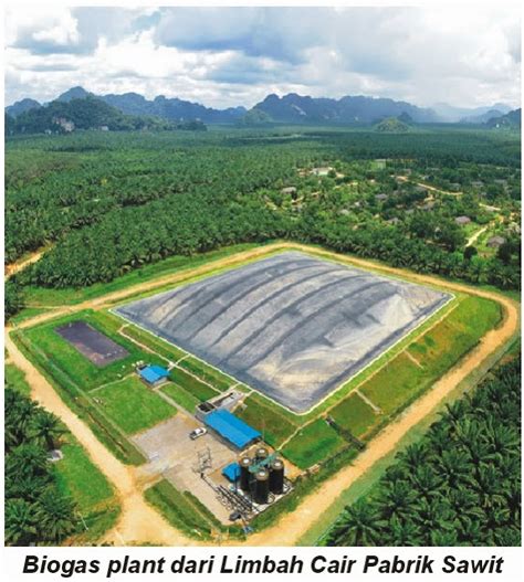 Inovasi Biomasa Mengapa Sebagian Besar Pabrik Sawit Belum Memiliki Biogas