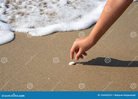 Closeup Girl Hand Picking Shell On Beach With Wave Bubble Background Stock Image Image Of