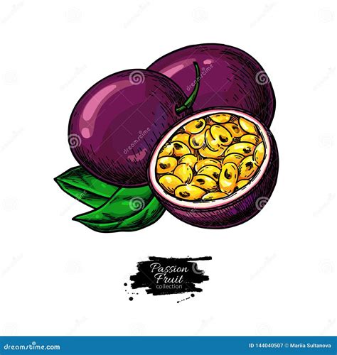 Passionfruit Vector Illustration 46265238
