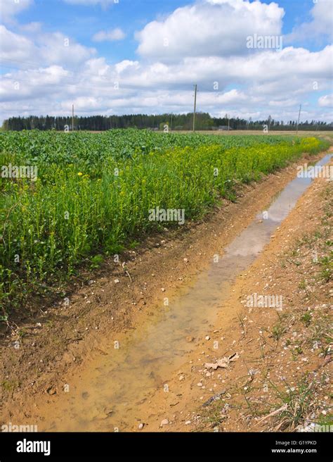 Deep Ditch Water Hi Res Stock Photography And Images Alamy