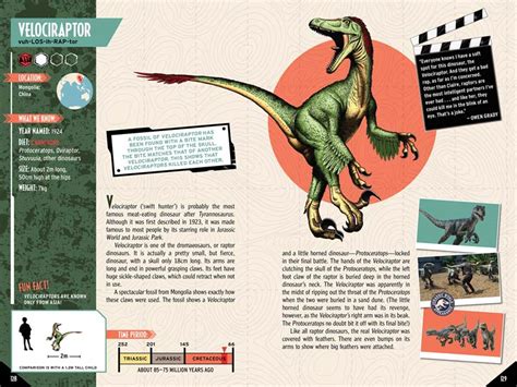 Jurassic World Dinosaur Field Guide Universal 9781761209871 Booktopia