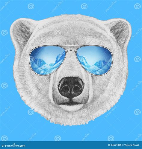 Portrait Of Polar Bear With Mirror Sunglasses Stock Illustration