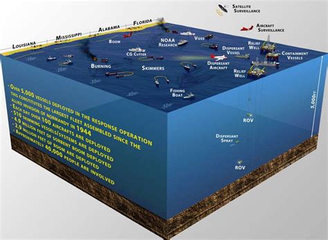 Update Deepwater Bp Oil Spill Response