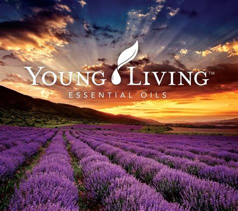 Essential oils diy gentle lavender makeup remover pads | young living essential oils young living peppermint oil: Young Living Lavender Field Mousepad | EO Merch and ...