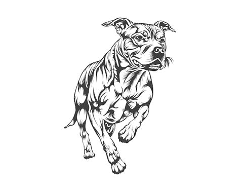 Premium Vector Pitbull Dog Breed Vector Illustration Pitbull Dog