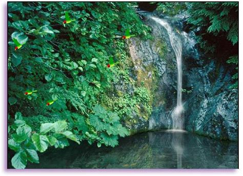 Free Download Moving Waterfalls Screensavers With Sound 1280x1024 For