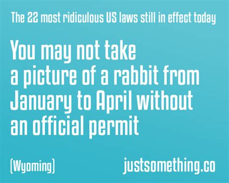 22 Weirdest And Dumbest Us Laws That Are Still In Effect In 2020 Page
