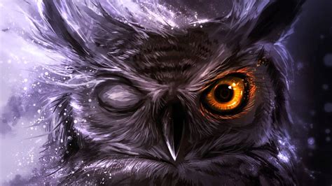 Night Owl Wallpapers Top Free Night Owl Backgrounds Wallpaperaccess