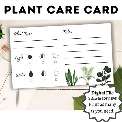 Plant Care Card Blank Card Printable Digital Download Etsy