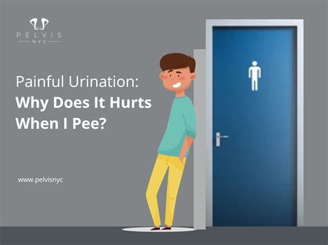 Painful Urination Why Does It Hurt When I Pee Pelvisnyc