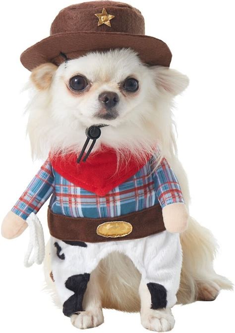 Frisco Front Walking Cowboy Dog And Cat Costume X Small