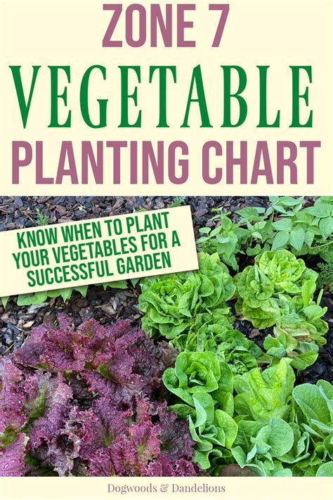 Zone 7 Vegetable Planting Chart Planting Vegetables Vegetable