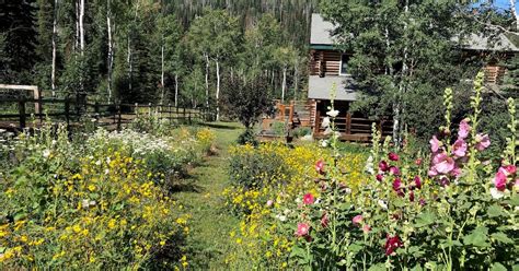 Colorado Mountain Gardener Accepting What Is