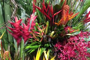 Tropical Flowers At The Sydney Royal Easter Show Abc News Australian