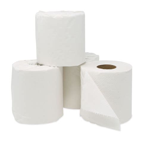 Economy 2 Ply Toilet Tissue Rolls 96 Rollscs Paper Products