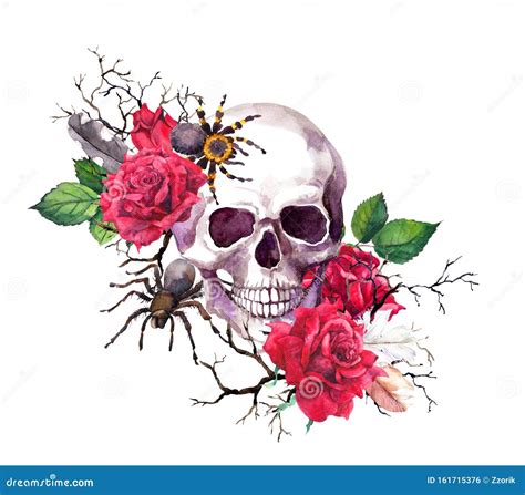 Human Skull In Red Rose Flowers Spiders Branches Watercolor For