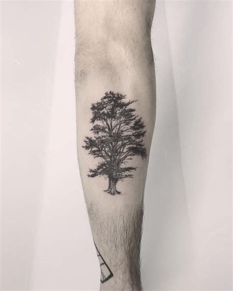 We did not find results for: Cedar Tree Tattoo Small - Best Tattoo Ideas