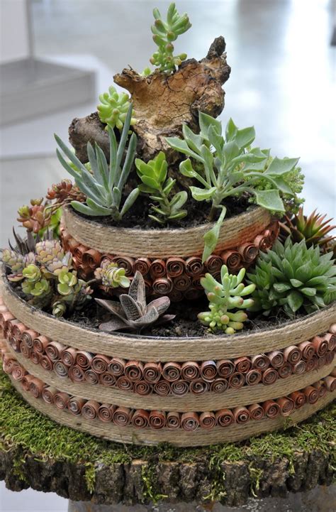 17 Dish Garden Pots Ideas You Should Look Sharonsable