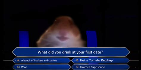 Staring Hamster At Who Wants To Be A Millionaire Staring Hamster