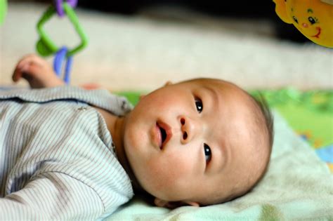 Half Asian Newborn Babies