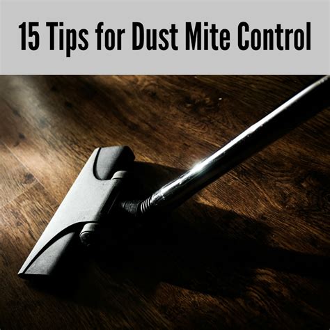 15 Tips For Dust Mite Control A Nation Of Moms