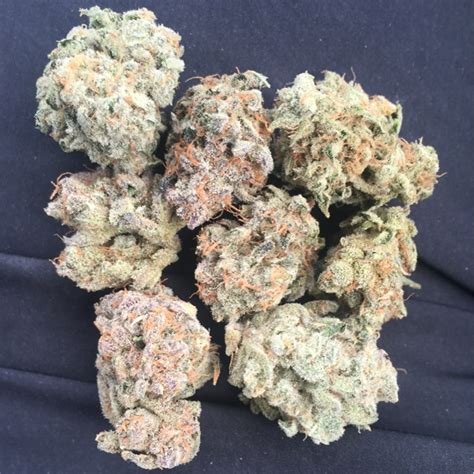 Buy Gelato 41 Strain Online Germany Buy Gelato 33 Strain Berlin