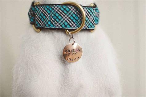 Oh Crap Im Lost Custom Pet Tag Personalize It With Your Etsy