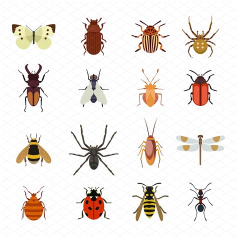 Insect Icons Vector Set Insect Art Bug Art Insects