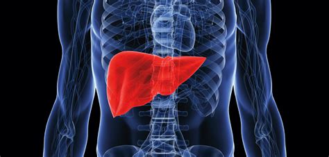 Combination Treatment May Make Liver Cancer Patients Eligible For
