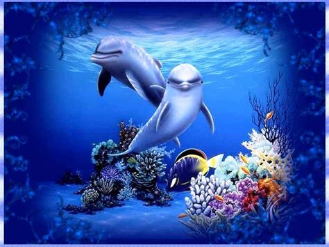 3d Dolphin Wallpapers Top Free 3d Dolphin Backgrounds Wallpaperaccess