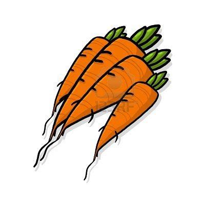 Bunch of carrots; bundle of carrots drawing; fresh carrots root.. | Carrots drawing, Root ...