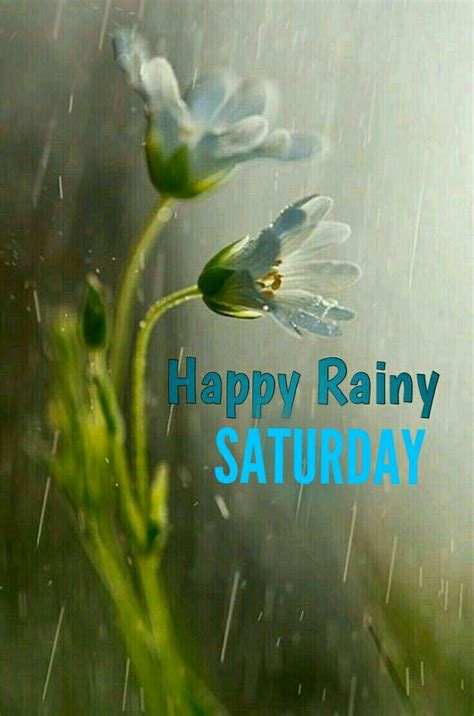 Full K Collection Of Over Amazing Rainy Good Morning Images