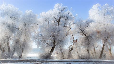 Multiple sizes available for all screen sizes. Cute Winter Desktop Wallpaper (68+ images)