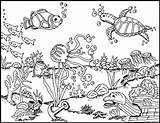 Seabed Coloringtop sketch template