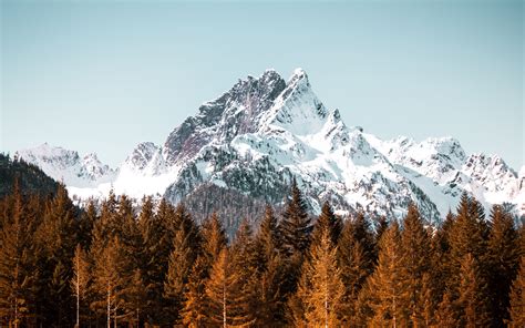 Download Wallpaper 3840x2400 Mountain Forest Trees Peak Snowy 4k