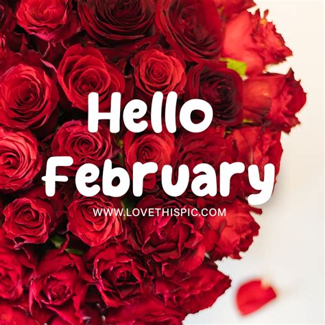 Red Roses Hello February Pictures Photos And Images For Facebook