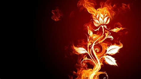 🥇 Burn Fire Flower Flames Flowers Wallpaper 52344