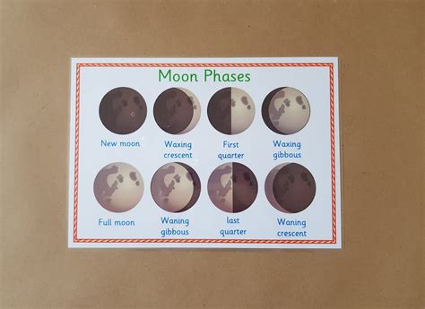 Moon Phases Laminated A Poster Phases Of The Moon Solar Etsy