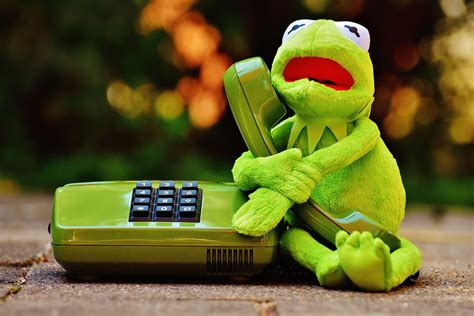 Kermit The Frog Wallpapers Wallpaper Cave