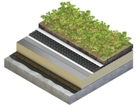 Your Guide To Green Roofs Green Roofs Faq Thermohouse