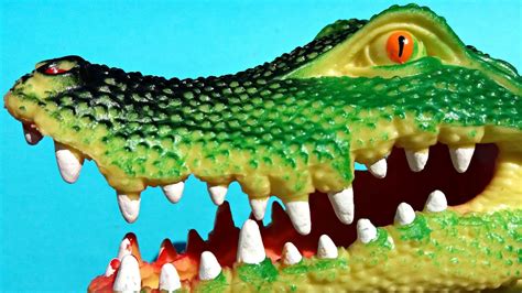 Giant Crocodile Toy For Kids Review Interesting Facts About Crocodiles