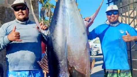 Mirá El Impresionante Atún De Aleta Amarilla Que Pescaron En México