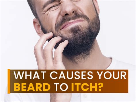 Itchy Beard Causes And How To Treat It