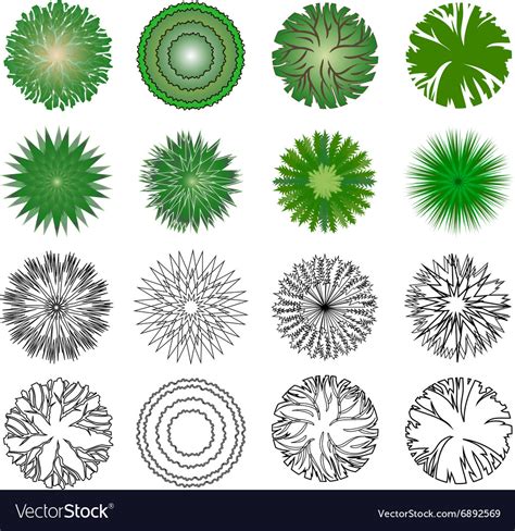 Symbols Of Trees Royalty Free Vector Image Vectorstock