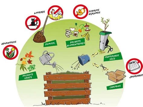 Comment trier ses déchets verts pour le compost Déchets verts