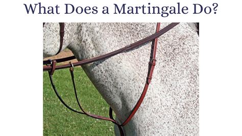 What Do Tie Downs And Martingales Do For A Horse Marys Tack And Feed